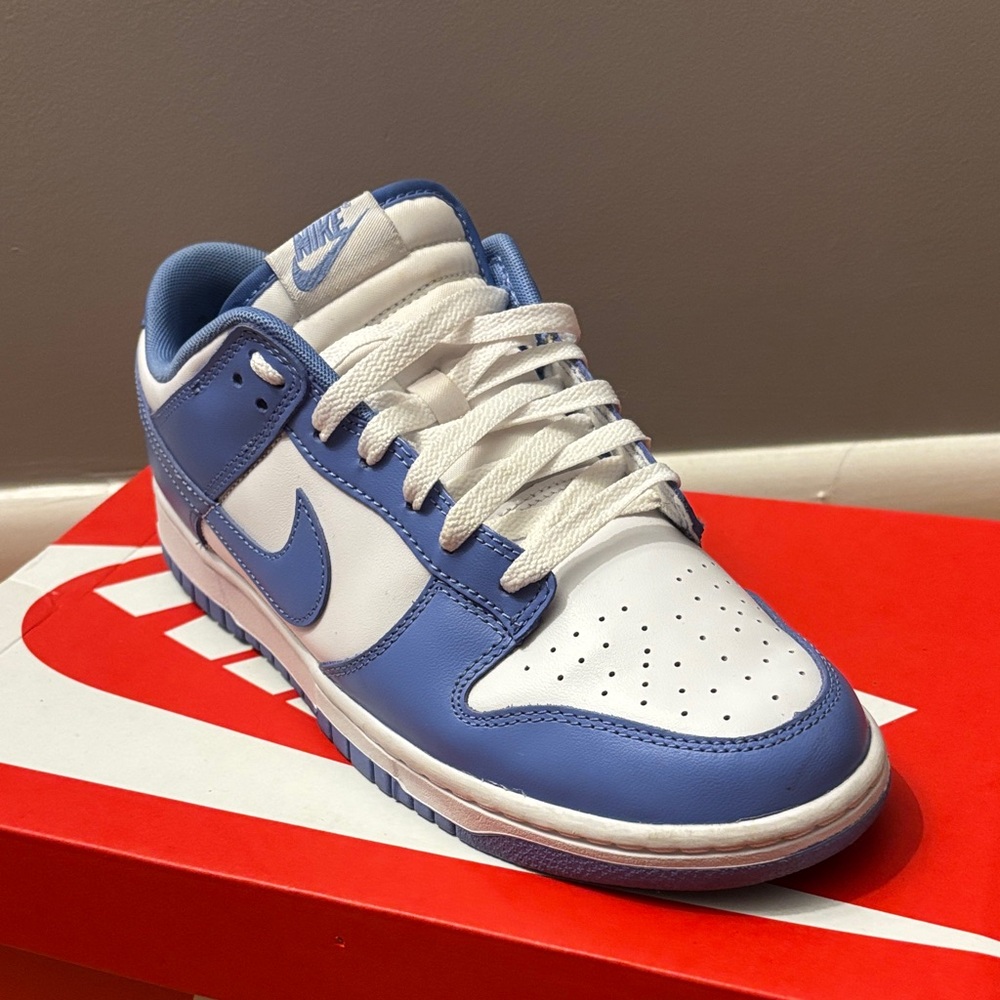 Nike Polar Blue Dunks Size 9.5 - Picture 3 of 4